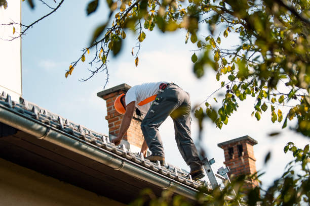 Best Flat Roof Repair Services  in Nisswa, MN