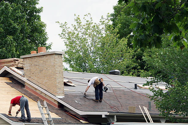 Best Roof Gutter Cleaning  in Nisswa, MN