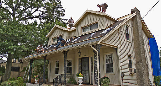 Best Storm Damage Roof Repair  in Nisswa, MN
